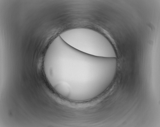X0000115560018200911061157