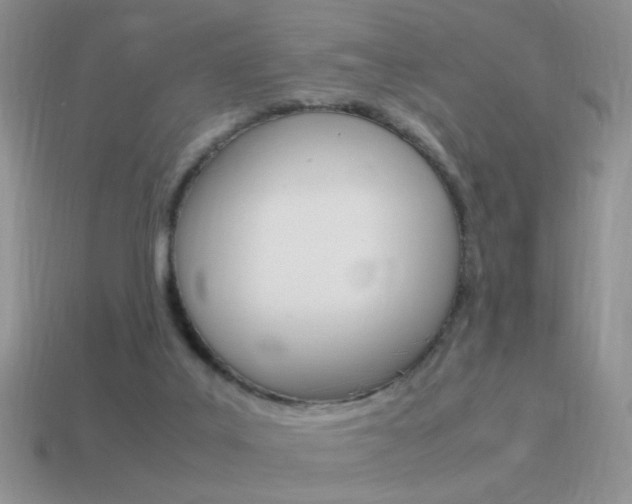 X0000115560019200911061157