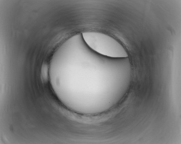 X0000115560022200911061157