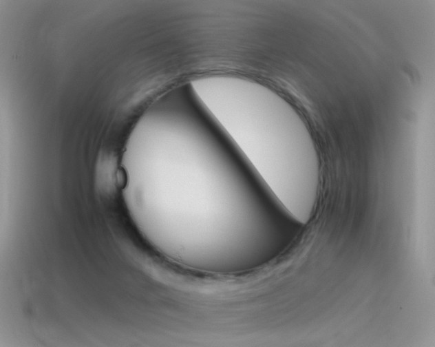 X0000115560024200911061157