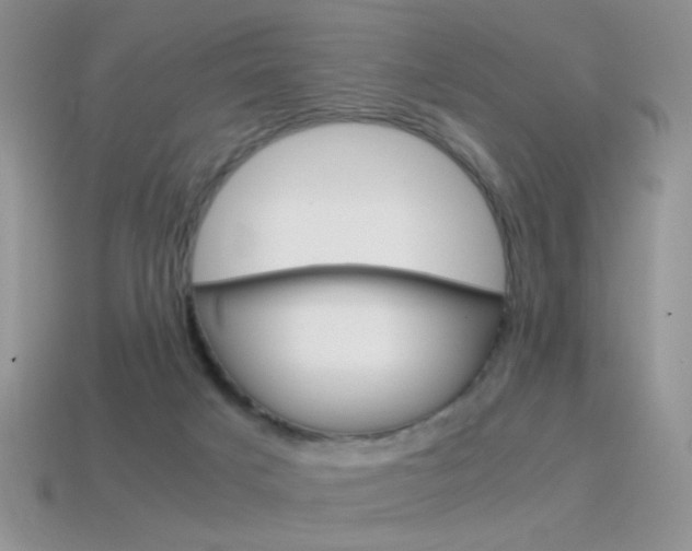 X0000115560025200911061157