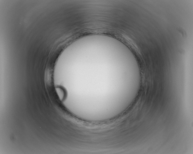 X0000115560026200911061157