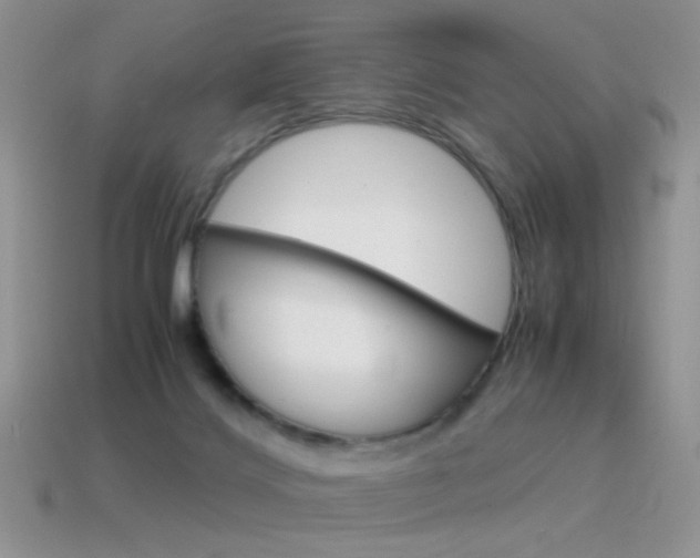 X0000115560028200911061157