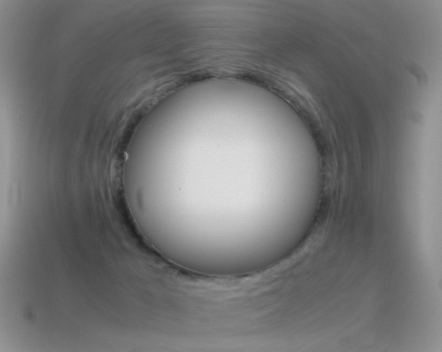 X0000115560029200911061157
