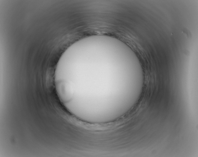 X0000115560030200911061157