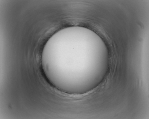 X0000115560031200911061157