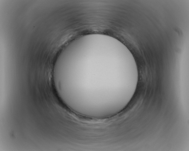 X0000115560032200911061157