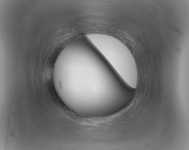X0000115560033200911061157