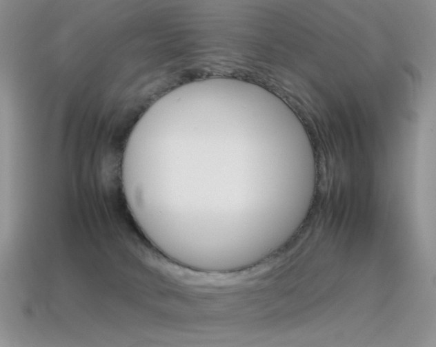 X0000115560034200911061157