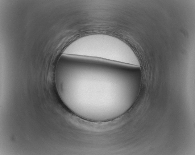 X0000115560035200911061157