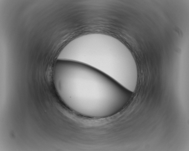 X0000115560036200911061157