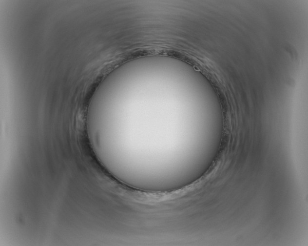 X0000115560037200911061157