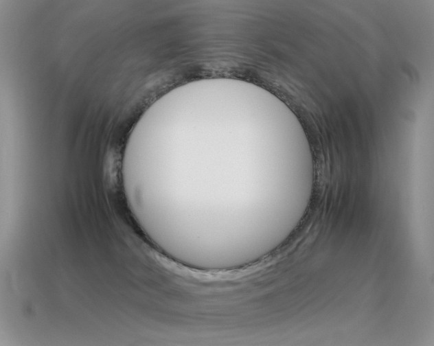X0000115560038200911061156