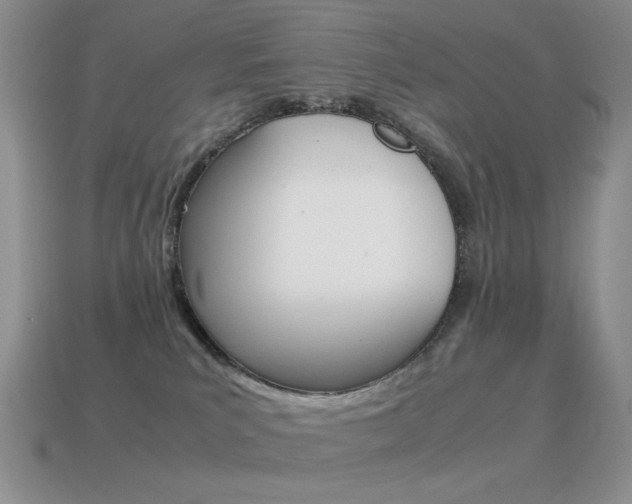 X0000115560039200911061156