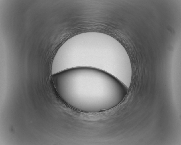 X0000115560041200911061156