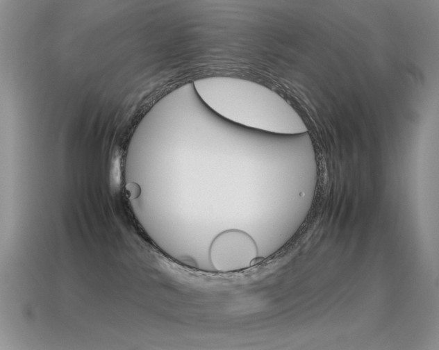 X0000115560042200911061156