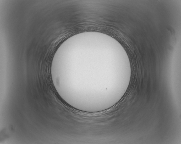 X0000115560043200911061156