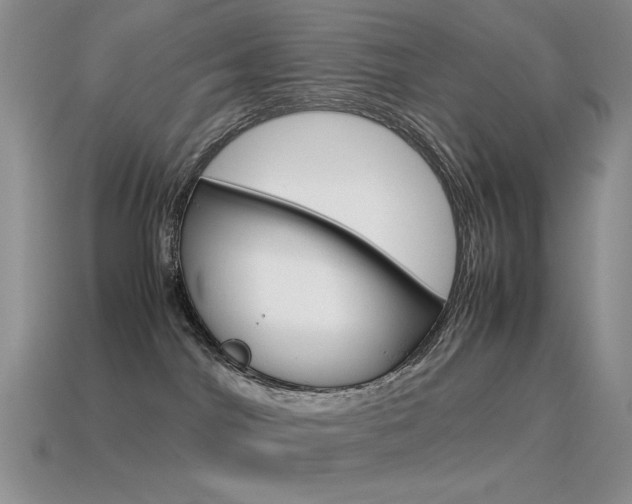 X0000115560044200911061156