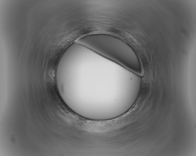 X0000115560045200911061156