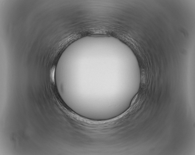 X0000115560047200911061156