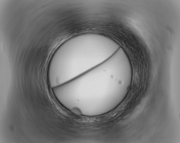 X0000115560049200911061156