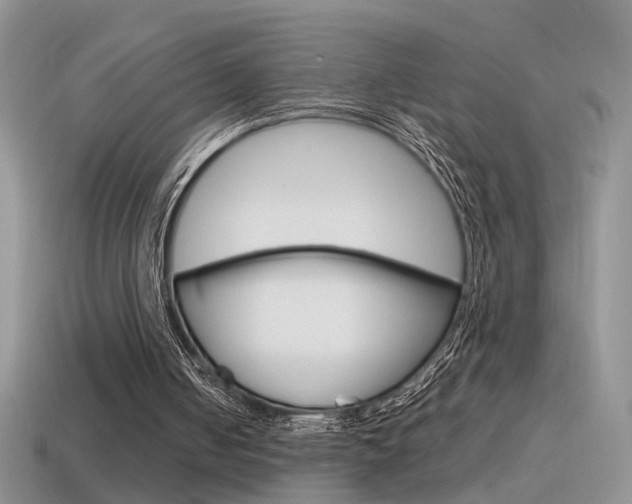 X0000115560050200911061156