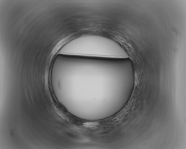 X0000115560051200911061156