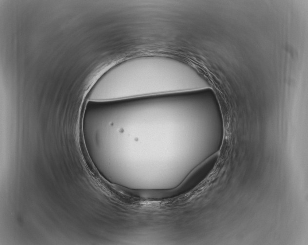 X0000115560052200911061156