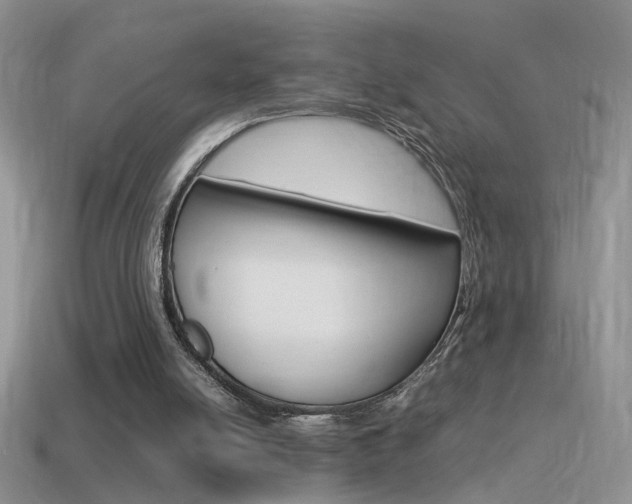 X0000115560054200911061156