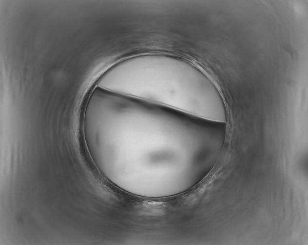 X0000115560055200911061156