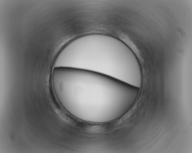 X0000115560058200911061156