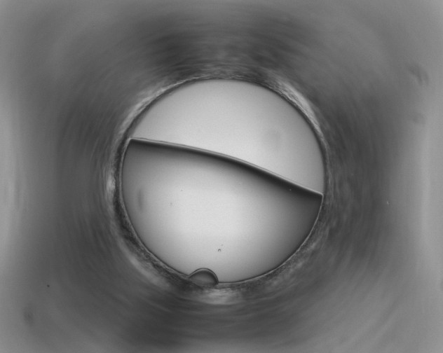X0000115560059200911061156