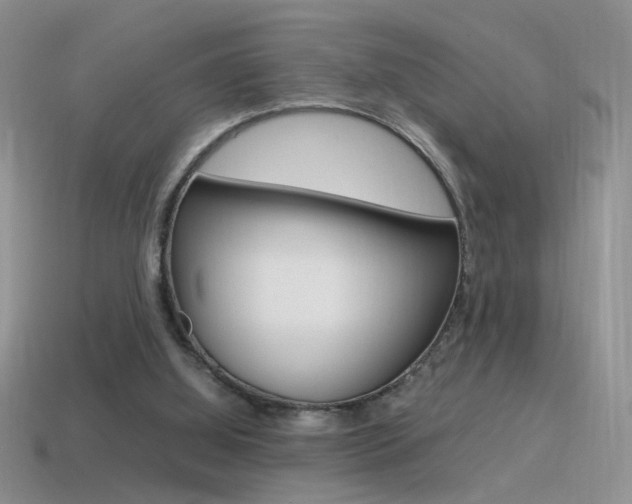X0000115560060200911061156