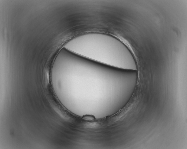 X0000115560061200911061156