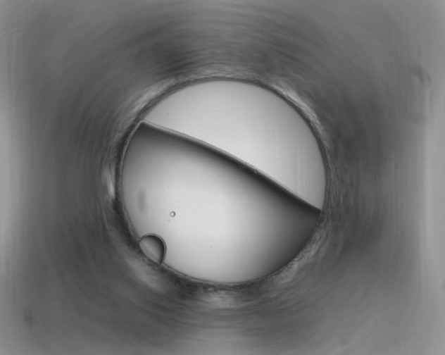 X0000115560062200911061156