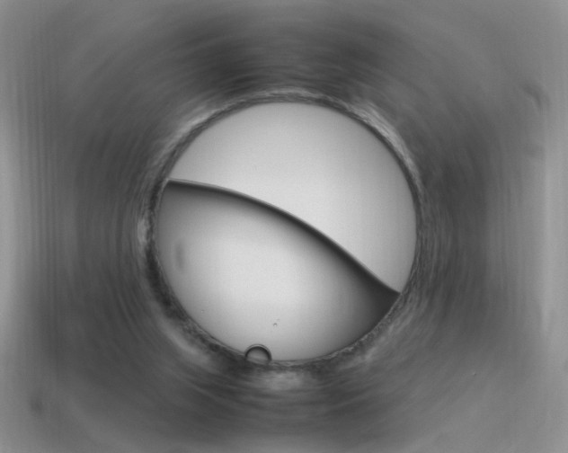 X0000115560063200911061156