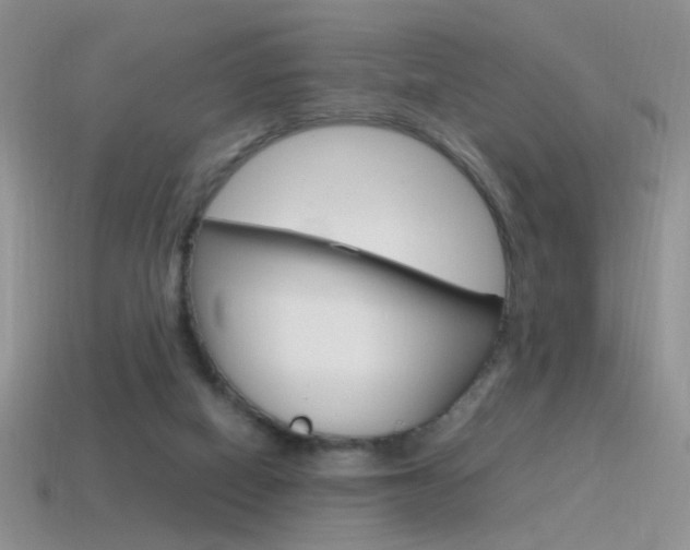 X0000115560066200911061156