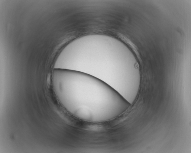 X0000115560067200911061156