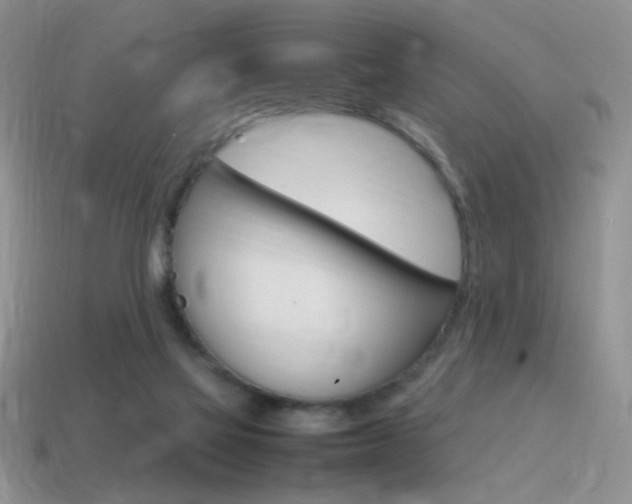 X0000115560069200911061156