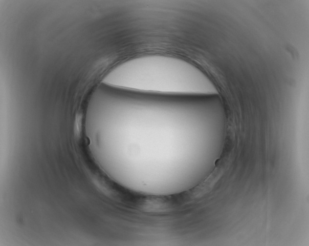 X0000115560070200911061156