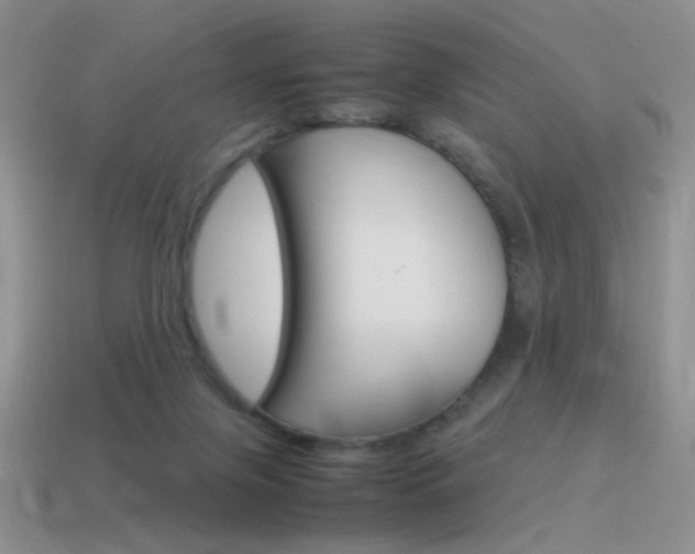 X0000115560071200911061156