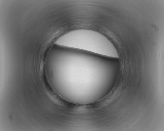 X0000115560072200911061156