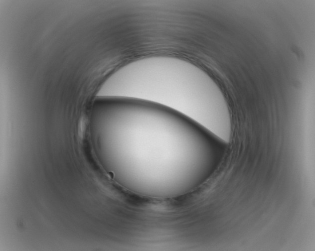 X0000115560076200911061156