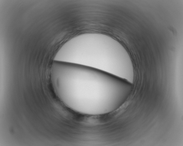 X0000115560078200911061156
