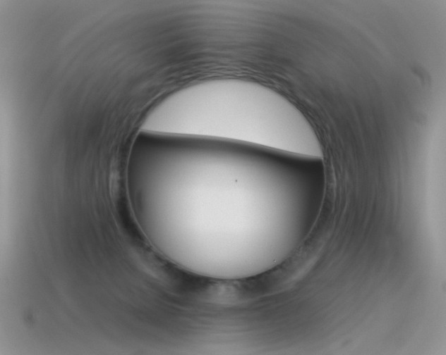 X0000115560080200911061156