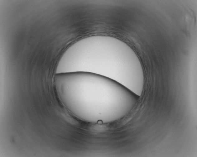 X0000115560081200911061156
