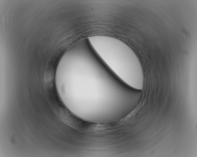X0000115560082200911061156