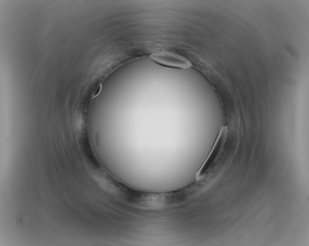 X0000115560084200911061156