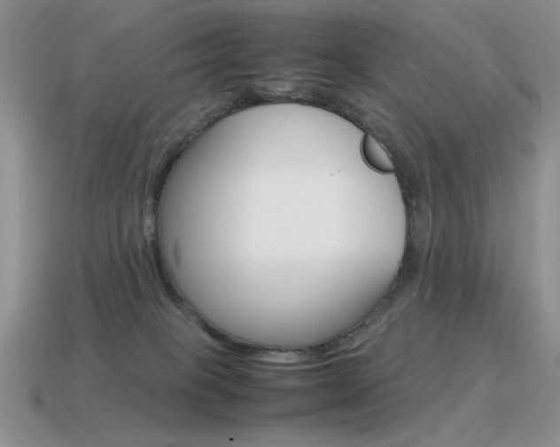 X0000115560085200911061156