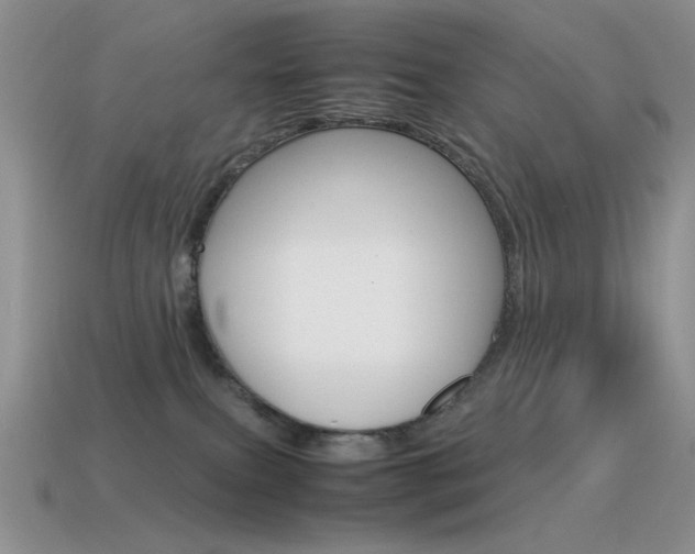 X0000115560087200911061156